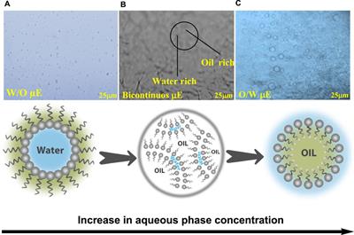 Formulation and structural insight of biocompatible microemulsion for enhanced release profile of anticancer methotrexate